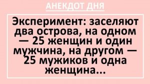 Заселяют два острова, на одном — 25 женщин и один мужчина, на другом... | Анекдоты смешные | Юмор