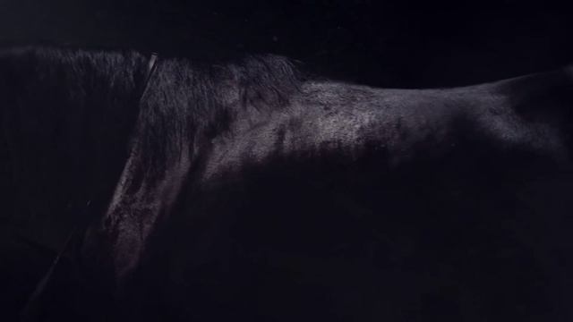 Enigma - Smell of Desire смотреть онлайн