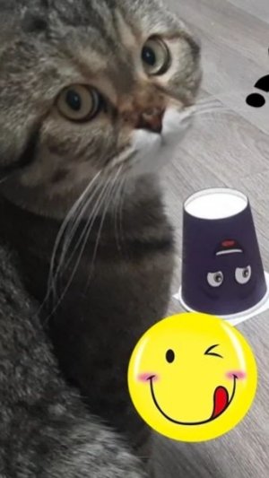 Супер нюх 🐱 ч. 1 # дальше интересно 🍗