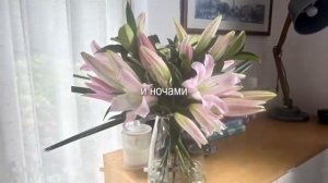 звук для липсингов