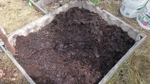 использование родительской грядки