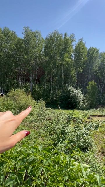 Продам участок кедр