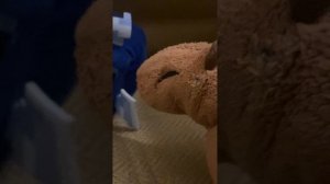 История про золотую конфетку