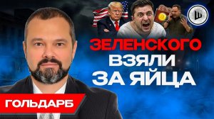 📨ЭТО ШОУ! Зеленский ГЛАВНЫЙ ПРОТИВНИК мира. Гольдарб. ПИСЬМО ШВОНДЕРА ПУТИНУ