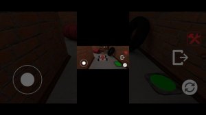 1798.mp4