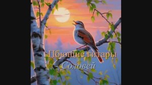 Поющие гитары - Соловей