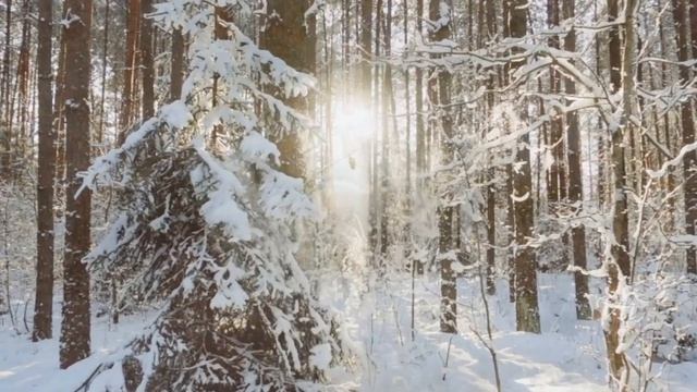 Вивальди - Времена года Зима смотреть онлайн