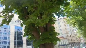 Улицы стареют как люди! Замечали?