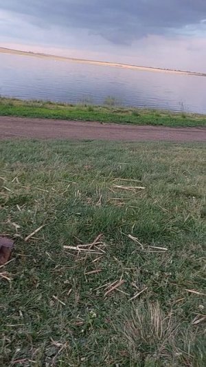 кастер на природе 3 часть.