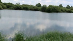 г Жуковка озеро возле железнодорожного моста «Бучило»