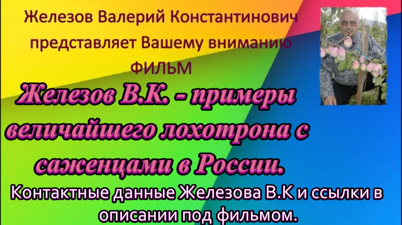 Железов В.К. - примеры величайшего лохотрона с саженцами в России.