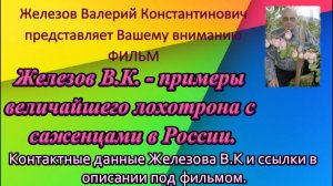 Железов В.К. - примеры величайшего лохотрона с саженцами в России.