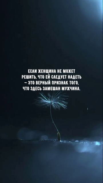 #1092 Цитата дня. Мотивация.