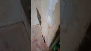 Чинары-1 с. Садовое