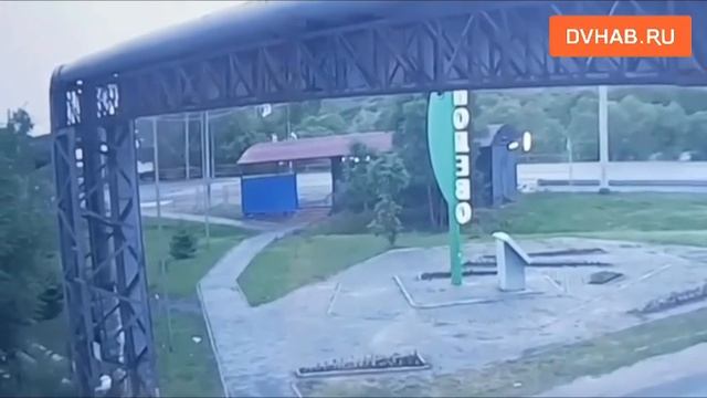 Медведь вышел к жилым домам под Хабаровском и пытался наброситься на мужчину смотреть онлайн