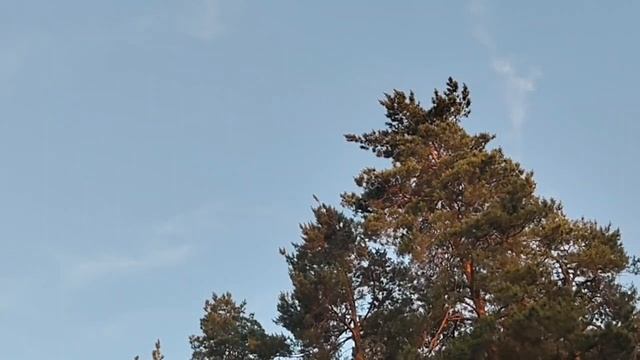 МОЁ ЗАЯВЛЕНИЕ О ЛЮДМИЛЕ БАЙЛАНЫСТА смотреть онлайн