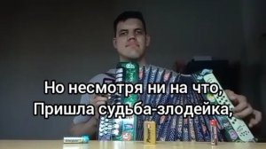 Жуки - Батарейка. Мелодия на баяне.