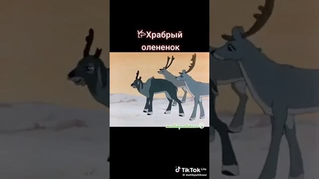 Храбрый олененок отрывок мультика смотреть онлайн