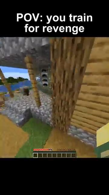 Minecraft Revenge