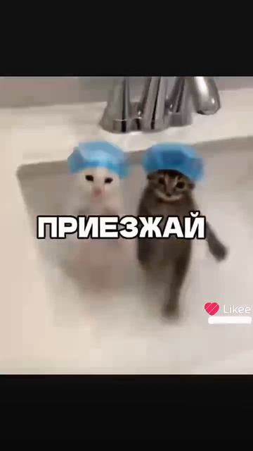 эдит на минималках) смотреть онлайн
