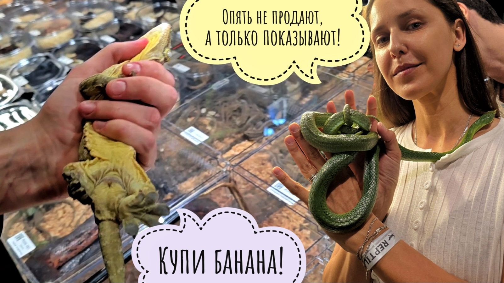 Суета первого дня Рептилиума и выставка-ярмарка экзотических растений рядом. Маша щупает змею смотреть онлайн