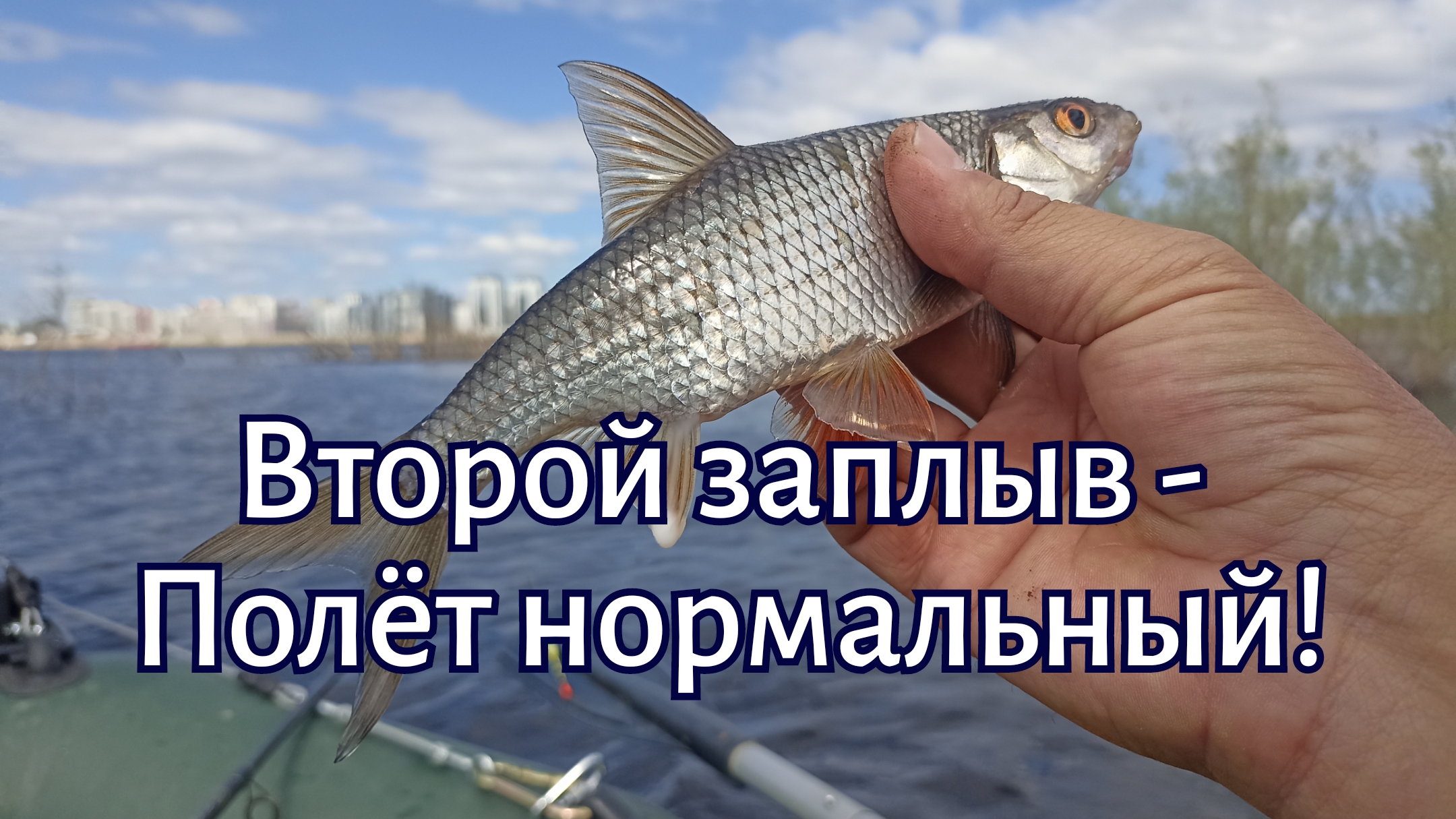 Второй заплыв - Полёт нормальный! смотреть онлайн