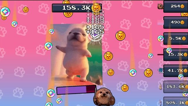🐾 спокойный вечер / песик танцует 🐶 смотреть онлайн