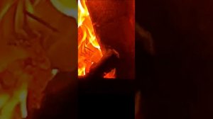 1000096037.mp4