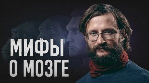 Мифы о головном мозге. Дробышевский