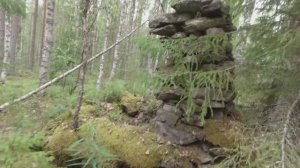 11 КИЛОМЕТРОВ ДО ЗАВЕТНОГО ОЗЕРА.  НАШЁЛ СТРАННЫЕ КАМНИ. СТАРЫЙ ПОСЁЛОК В ГЛУШИ МЕДВЕДЬ РЯДОМ