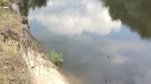 Река Десна. г Жуковка в районе места затопления баржи