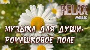 🎷RELAX | НЕЖНАЯ МУЗЫКА ДЛЯ ДУШИ — РОМАШКОВОЕ ПОЛЕ, ЛЁГКИЙ ВЕТЕР И ПЕНИЕ ПТИЦ ДЛЯ ОТДЫХА И РЕЛАКСА