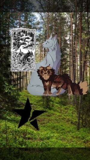 Мой дом, моя крепость!