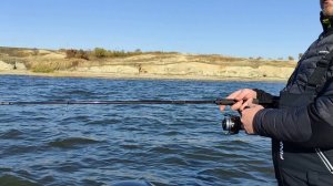 Дон осень23