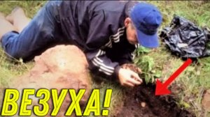 Повезло на Копе, ЦАРСКИЕ Находки Лежат СВЕРХУ, не Зря ПРИЕХАЛИ на Старый ХУТОР Покопать!