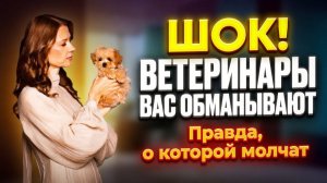 МАЛЬТИПУ: Воспитание, уход, стрижка. Секреты груминга и ветеринаров (разоблачение)