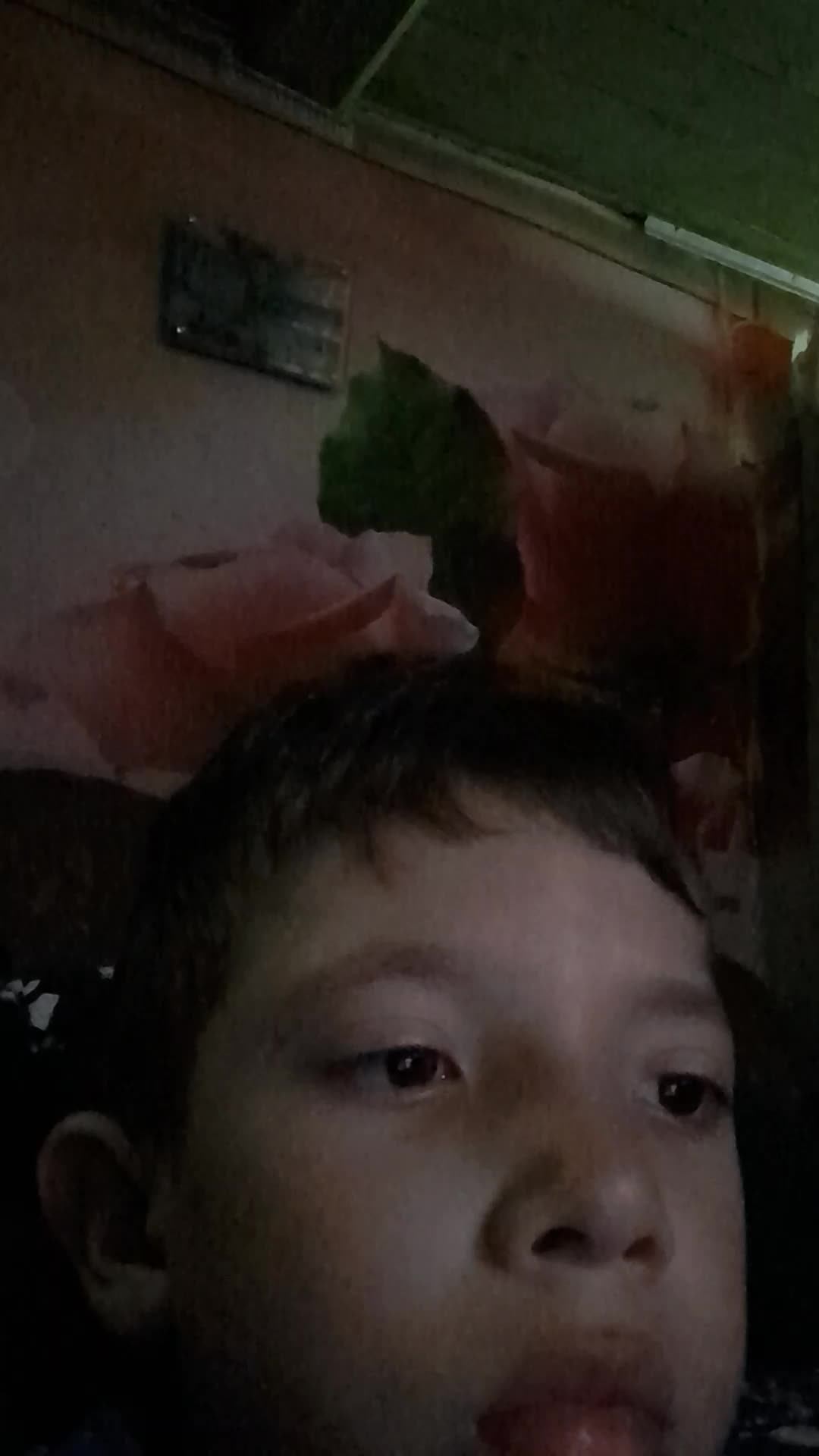 нет смотреть онлайн