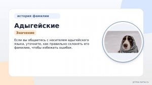 Фамилия Адыгейские: происхождение, значение и склонение