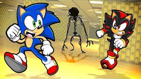 Sonic LOST in the BACKROOMS!