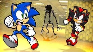 Sonic LOST in the BACKROOMS!