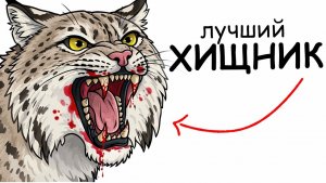 Ты — сибирская рысь (и это вся твоя жизнь)