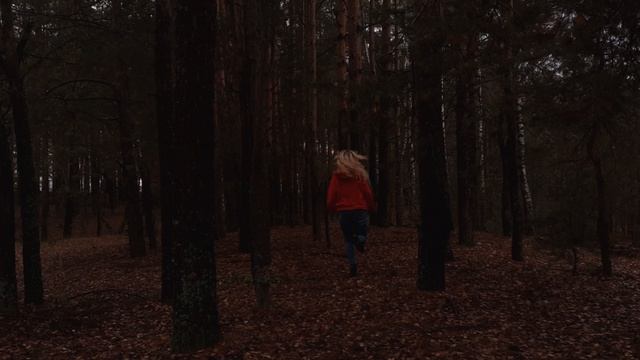 24 часа до смерти