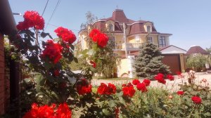 Можно снять жильё в мире роз!!!