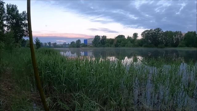 ТОЧКА ЛОВА. Ночная рыбалка.