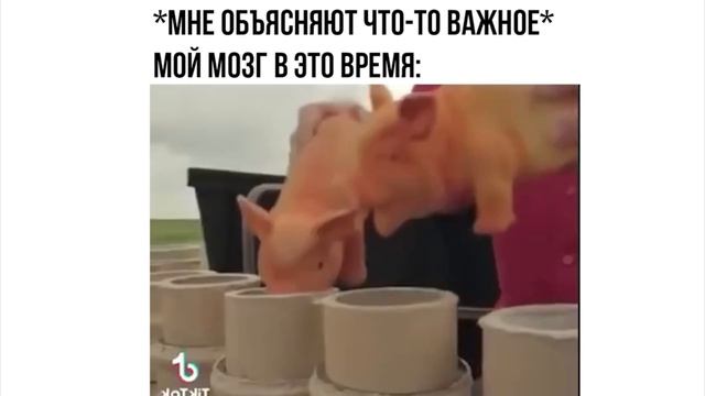 просто мем смотреть онлайн