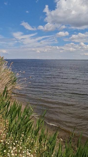 Матушка Волга🌊 мгновение вечности🌊Лето, река Волга и шёпот реки