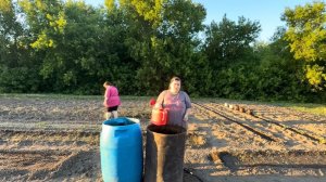 Влог из деревни/дела огородные
