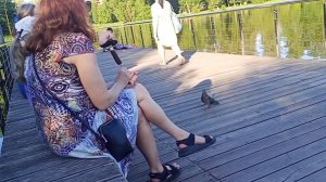 Река Пехорка Подмосковье.Можно рыбачить.