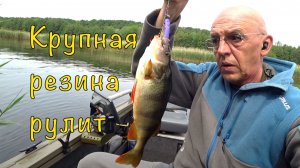 НЕРЕСТОВЫЙ ЗАПРЕТ закончился. Тестируем новые СПИННИНГИ.