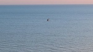 Анапа. Красивый закат. Море. Дельфины.
